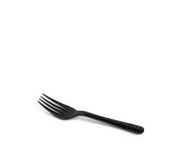 Fork