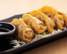 Fried Pork Gyoza Dumplings