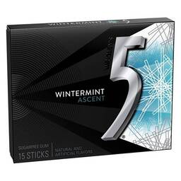 5 Gum Wintermint Ascent - 15 Piece/Single