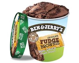 Ben & Jerry's Non-Dairy Chocolate Fudge Brownie