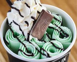 Andes Mint Chocolate Chip Ice Cream
