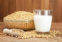 Soy Milk (Sữa đậu nành)