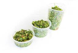 Tabouli