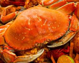 Dungeness Crab (Frozen)