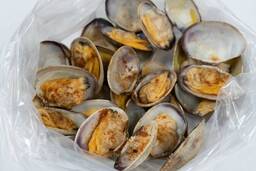 Clams