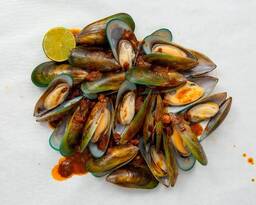 Mussels