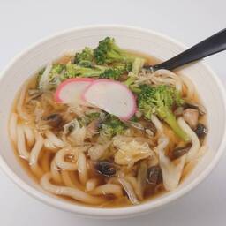 Regular Udon